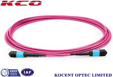 0.2dB Insertion Loss MPO MTP Trunk Cable OM4 3m 5m 10m 50 / 125 Core LSZH Violet