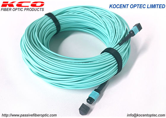 Elite 0.35dB 12fo LSZH MPO MTP Patch Cord OM3 OM4 50/125 MPO Fiber Patch Cable