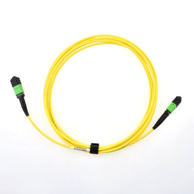 8F G657A1 3.0mm Single Mode MPO MTP Trunk Cable Type A Fiber Optic Patch Cord
