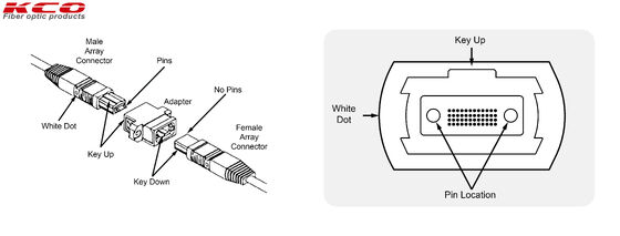 48 Fibers Ultra Low Loss MPO Trunk Cable Type A B C MTP Trunk Cable for 400G 800G Data Center