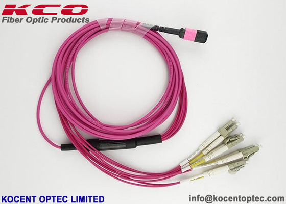 OM4 LSZH MPO MTP Patch Cord 8 12 24 Core MPO Fiber Patch Cable for Data Center
