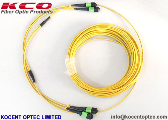 MPO APC 24fo 48cores G657A1 Elite Insertion Loss MTP Fiber Optic Trunk Patch Cable (Подключатель для вставки волоконного оптического волокна)